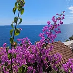 Paradies Prizba