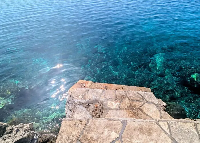 Paradies Prizba Blato